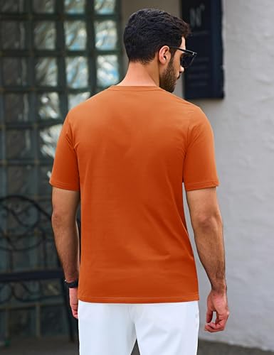 TACVASEN Men's Henley T Shirt Cotton Moisture Wicking Short Sleeve Tshirt Classic Casual Grandad Shirts with Button - Image 5