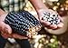 Organic Blue Corn Kernels, 1 Pound - Non-GMO, Whole Dried Kernels, Vegan, Bulk. Cereal Grain. Good Source of Vitamin B6, Phosphorus. Great for Grinding. Perfect for Stews, Casseroles, Soups