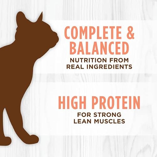 Instinct Original Grain Free Real Salmon Recipe Natural Wet Canned Cat Food By Nature's Variety, 3 Oz. Cans (Case Of 24) #TOP3