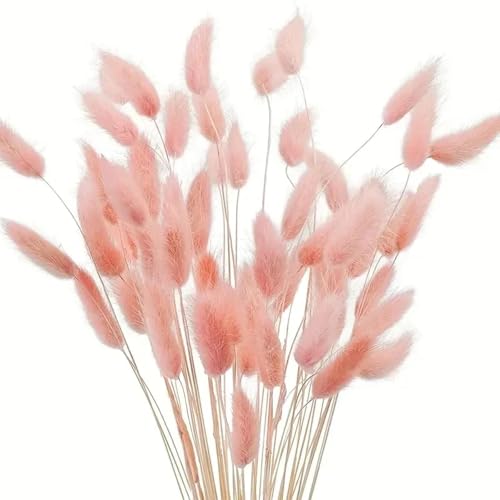 Ramo de 150 Piezas de Hierba Pampas Secas Natural miniatura 1
