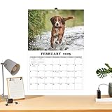 Matériau durable : fabriqué à partir de composants de qualité supérieure, ce calendrier pour les amoureux des chiens est incroyablement durable et fiable. Sa construction parfaite assure une plus longue durée de vie, tandis que son design accrocheur ajoute une touche d'élégance à tout le monde