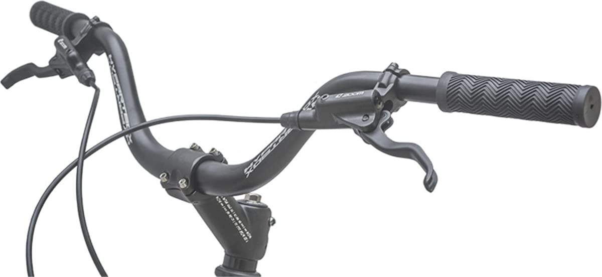 ECHO トライヤル自転車　24インチ トライアル 自転車 エコー エコートライアル自転車24インチ echo