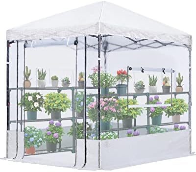 Quictent 8x6 FT Portable Walk-in Greenhouse Clear Green House for Outdoors, Pop-up Easy Setup Indoor High Transparency Plant Shed, Roll-Up Front Screen Door & 3 Screen Window with Support Pole, Clear