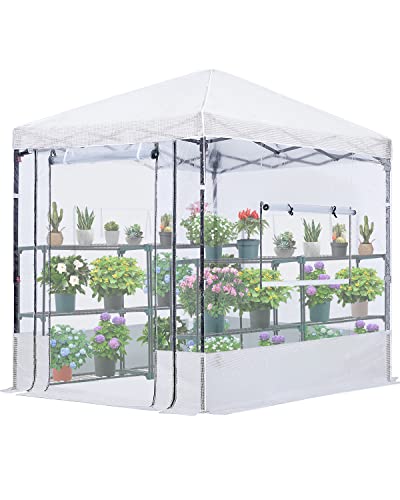 Quictent 8X6 Ft Portable Walk-In Greenhouse Clear Green House For Outdoors, Pop-Up Easy Setup Indoor High Transparency Plant Shed, Roll-Up Front Screen Door & 3 Screen Window With Support Pole, Clear #TOP24