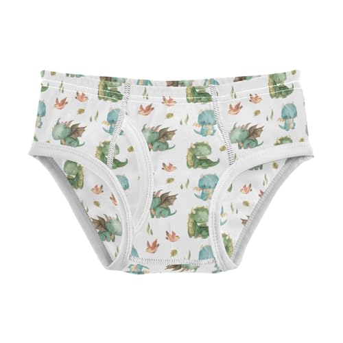 Boys' Exclusive Briefs Toddler Underwear 95% Combed Cotton Boxerbriefs 2T Cartoon Dinosaur Pattern 2