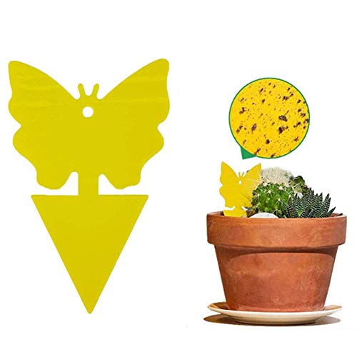 Preisvergleich Produktbild Fruchtfliege klebrige Falle 20St. Fliegenwanze Plastik klebrige Fängerpackung Insekten Doppelseitige Stockplatte Falle für Mückenmücken Blattlausschädlinge (Yellow, Butterfly Shape)