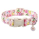DOGWONG Flower Dog Collar, Cute Girl Dog Collars, Adjustable Pink Flower Pet Collars Design Dog Collar with Quick Release Buckle for Puppy Girl Boy Female Dogs