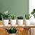 BUYMAX Plant Pots Indoor –5 inch Ceramic Flower Pot