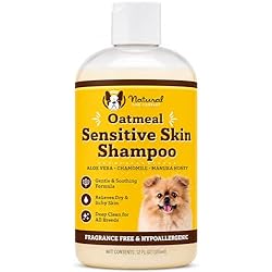 Natural Dog Company Sensitive Skin Dog Shampoo – Hypoallergenic Oatmeal Anti Itch Shampoo for Dogs, Gentle Puppy & Dog Wash with Aloe Vera, Manuka Honey & Chamomile, Odor Control, 12 oz