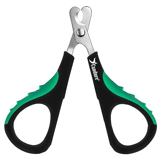 Picture Idea: 5 Best Bird Nail Clippers For Safe And Stress Free