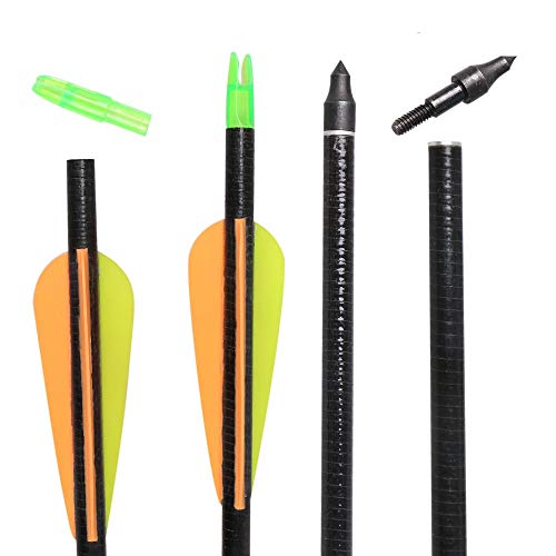 Huntingdoor Archery 31" Fiberglass Hunting Arrows Fiberglass Target Practice Arrows With Screw-In Tips For Recurve Or Compound Bow(Pack Of 12) #TOP3