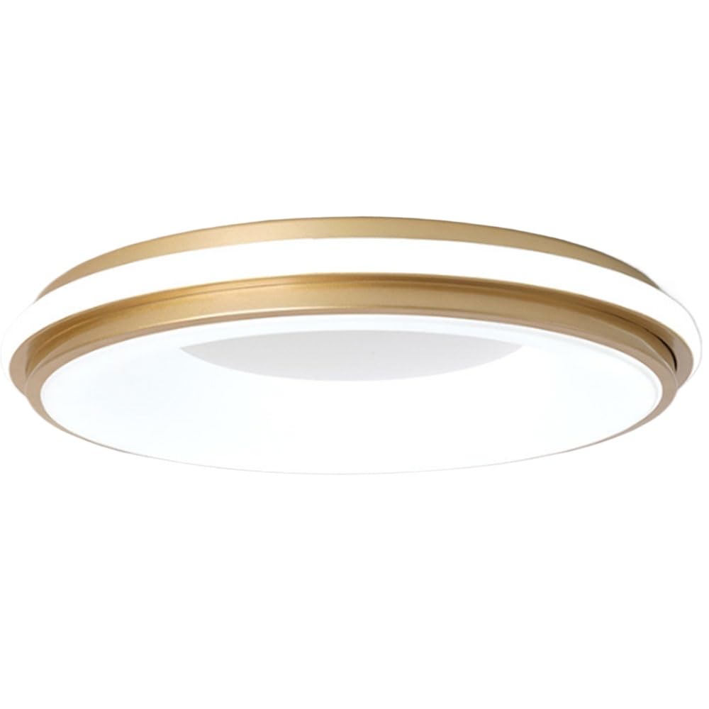 Plafonnier LED super lumineux 18W avec éclairage variable - 8