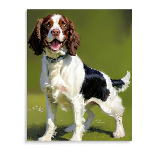 DIY Paint by Numbers Springer Spaniel Dog on Canvas Painting Kits for Adult, Beginner Oil Painting Kits Gift 16x20inch(40x50cm) Frameless
