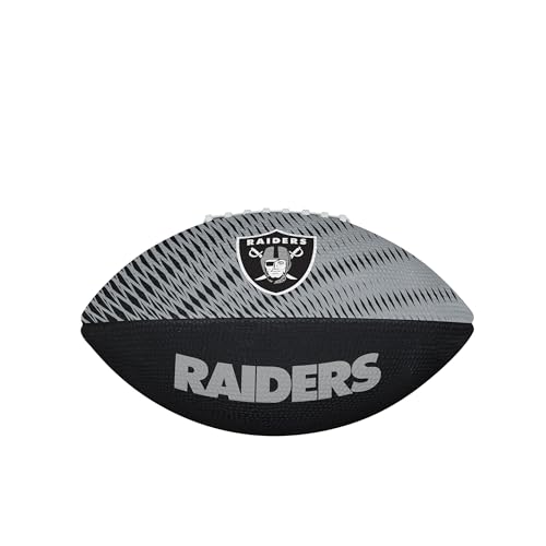 Image of WILSON Unisex NFL Team Tailgate Footballs