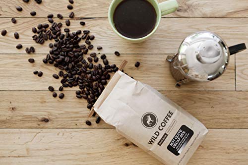 Wild Coffee, Whole Bean Coffee, Naturally Grown, Fair Trade, Single-Origin, 100% Arabica, Austin Fresh Roasted (Mexico Dark Roast, 40 Ounce - 2.5 Pound) #TOP4