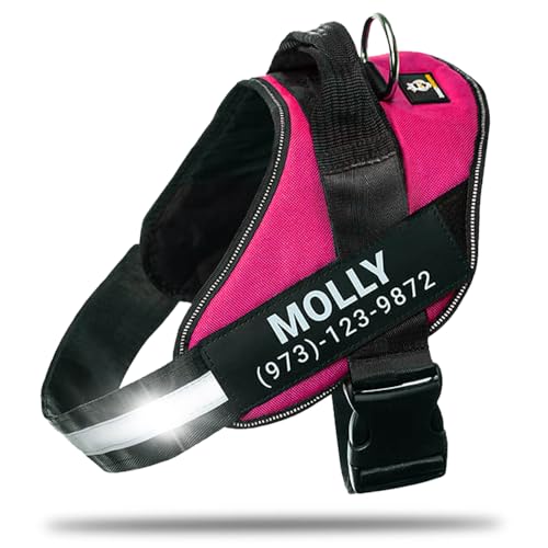 DOGGYKINGDOM Personalized No-Pull Dog Harness with Name Patch, Adjustable, Reflective, Padded, Heavy Duty Pet Vest to Prevent Tugging, Pulling, or Choking, Training and Walking, Rose Red, M