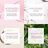 Naisture 15 Min Pamper Me Kit Korean Spa Skincare Gift Set for Women-Head to Toe with Hair, Face, Eye, Hand, Foot Masks (7 pcs)
