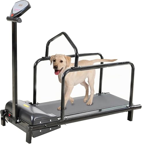 Large Dog Treadmill for Medium & Large Breeds - Indoor/Outdoor Slatmill for Pet Exercise & Training, Supports Dogs Up to 76lbs, Ideal for Fitness & Weight Management