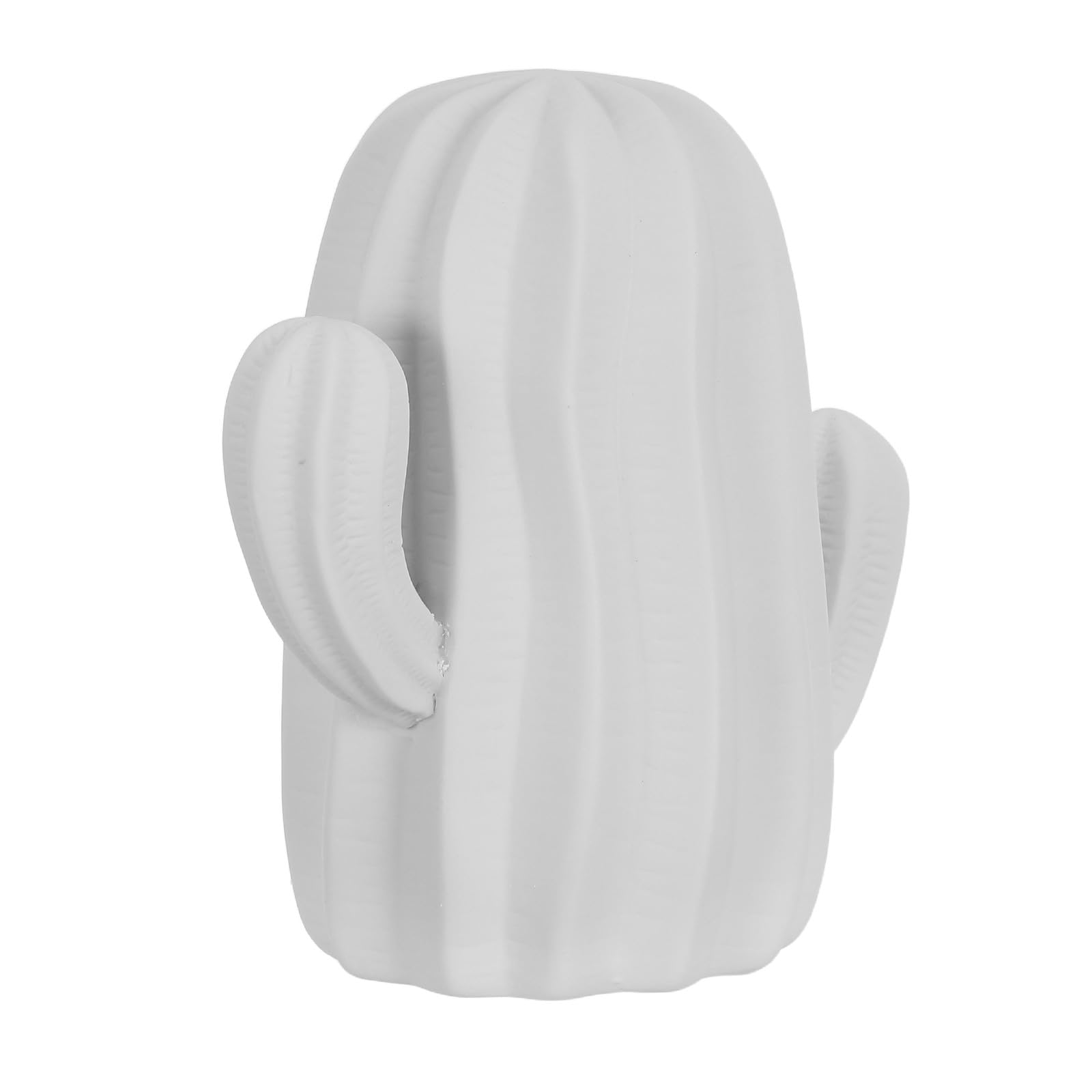 Cactus en céramique blanche décoration salon bureau