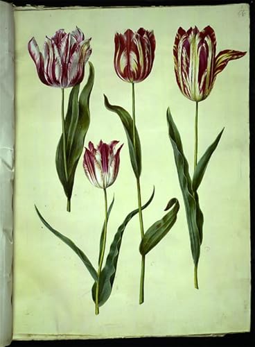 Pintura clásica de Hans Simon Holtzbecker, lienzo decorativo de 60x90cm