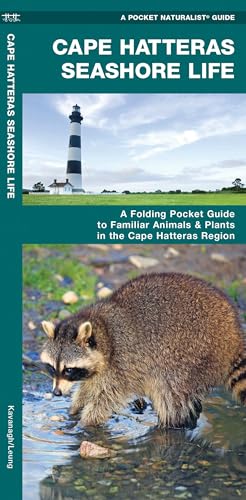 Cape Hatteras Seashore Life: A Folding Pocket Guide to Familiar Animals & Plants in the Cape Hatteras Region (Nature Observation North America)