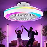 【ÉCLAIRAGE RGB ÉCLATANT】Le luminaire avec ventilateur offre une gradation continue et des effets multicolores, d'une lumière froide et apaisante à des néons dynamiques, s'adaptant aussi bien à l'ambiance immersive des sessions de jeu nocturnes qu'à l'éclairage doux et chaleureux d'une chambre relaxante.L'enceinte Bluetooth intégrée ajoute une touche de divertissement à votre quotidien