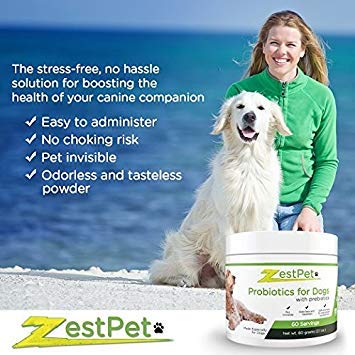 Zestpet Probiotics For Dogs With Prebiotics Pet Invisible Powder Supplement, 100 Per Cent Satisfaction Guarantee #TOP4