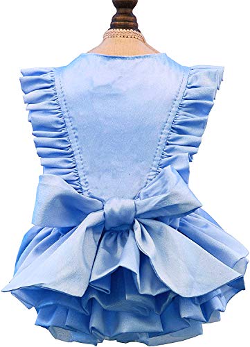 Puppy Face Dog Dress for Small Dogs Puppy Clothes Girl Dog Princess Skirt Outfits Cat Lace Apparel (Small, Sky Blue)