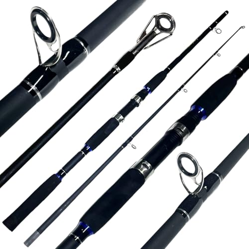 VARA PARA MOLINETE ENJOYLURE 6'0' - 1.80M CARBONO - 15-60LB - 2 PARTES - PESCA PESADA