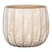 Scheurich Runa, Blumentopf aus Keramik, Farbe: Washed Cream, 18,15 cm Durchmesser, 15,5 cm hoch, 6,7 l Vol.
