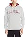 Puma Men's Arsenal Fan Hoody, Light Gray Heather, X-Large