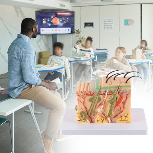 Laroal Künstliche Modelle 35-Fach vergrößertes Hautmodell für Anatomiestudien und dermatologische Ausbildung 3D-Hautstrukturmodell mit 25 digitalen Markierungen