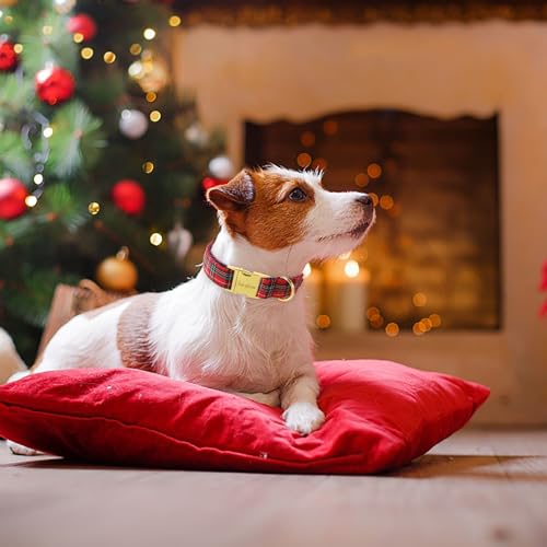 Unique style paws Dog Collar Scottish Plaid Black Red Metal Buckle Durable Puppy Collar Christmas for Small Medium Large Boys Girls Dogs by Unique style paws - Used condition - Image 5