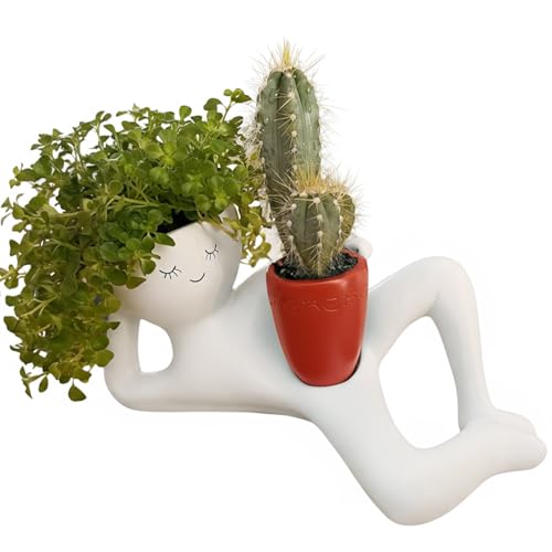 Orrdiffi Künstliche Sukkulenten Pflanze für Kleine Töpfe mit Ablaufloch Pflanzgefäße mit Smiley, für Heimdekoration Deko Balkon Schreibtisch Wohnzimmer