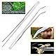 Aquarium Reinigung Kit 2 Stücke, Rostfreie Stähle Gerade und Gebogene Spitze Pinzette Pflanzen Aquarium Pinzette, Aquarium Zubehoer Werkzeug Set, 27 cm Lang Pinzette Aquarium Zubehoer Werkzeug