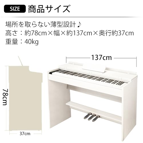 カリーナ Carina 電子ピアノ 88鍵盤 ハンマーアクション鍵盤 SR0088CLS290ZE0088LF0088LUP0088 の商品画像 7