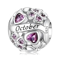 HappyStar Vierblättriges Kleeblatt Anhänger 925 Silber Bead Charms für Damen Glücksbringer Schmuck Geschenk Geburtsstein Charm mit Cubic Zirconia Kompatibilität Pandora Europäische Armband