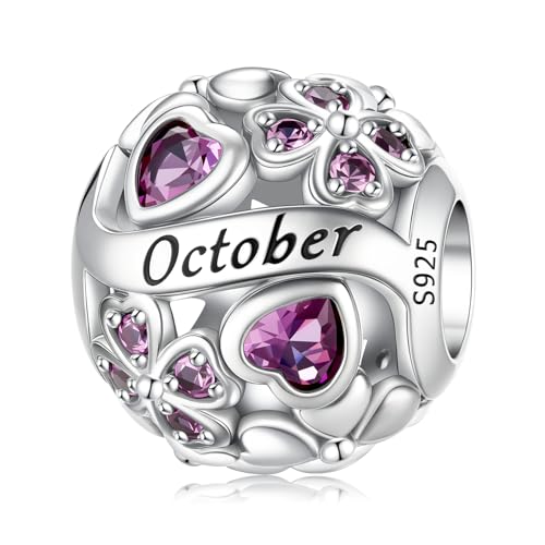 HappyStar Vierblättriges Kleeblatt Anhänger 925 Silber Bead Charms für Damen Glücksbringer Schmuck Geschenk Geburtsstein Charm mit Cubic Zirconia Kompatibilität Pandora Europäische Armband