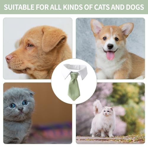 Fliege Für Hunde Mit Weißem Kragen, Verstellbares Hundehalsband Mit Krawatte Für Haustiere, White Collar M 22–38cm, Kostüm Für Hochzeit, Geburtstag, Halloween, Fliege Für Hunde