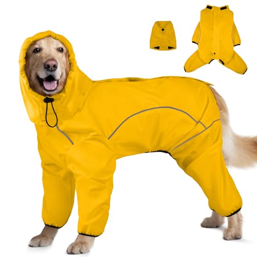 pCR[gAO\ȃt[hthpCWPbgA߉\4rybg|`A[Vz[tA˃XgCvt[hthhA^3XLpA3XL