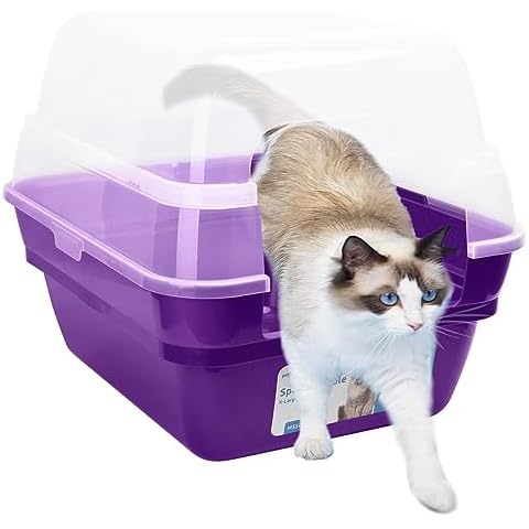 Petfamily Cat Litter Box, Large Foldable Jumbo Hooded Cat Litter Box with Transparent Lid (Purple) Cover