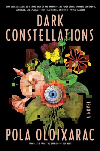 Dark Constellations view 2