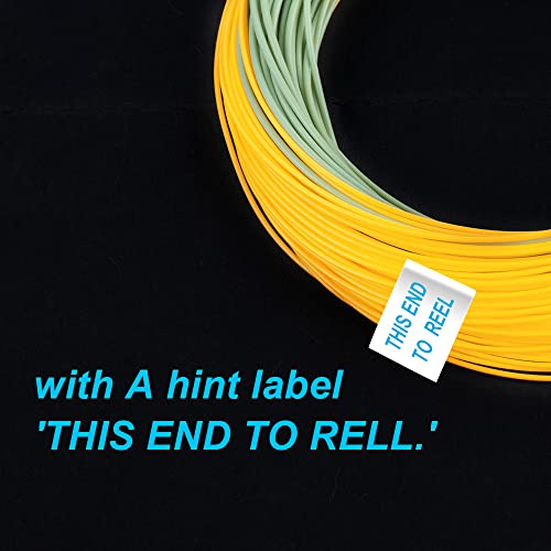Image of HERCULES Fly Fishing Line Floating Weight Forward Fly Line with Double Welded Loop