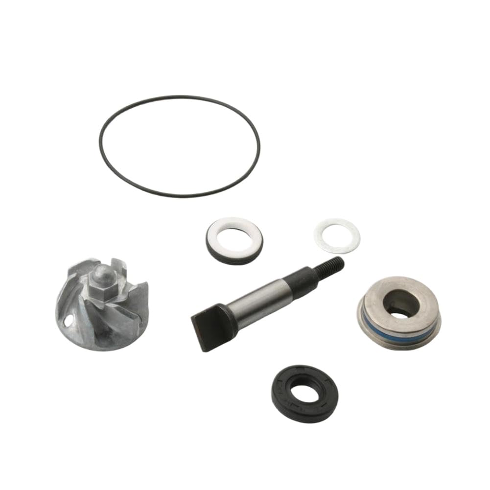 Kit di riparazione pompa acqua compatibile con SH 300 Forza 300 NSS300 SH NSS Scoopy 300i 100110520