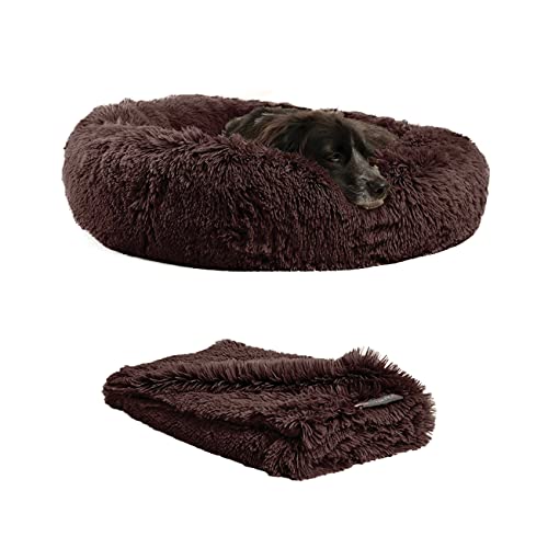Best Friends Donut Bed + Throw Bundle