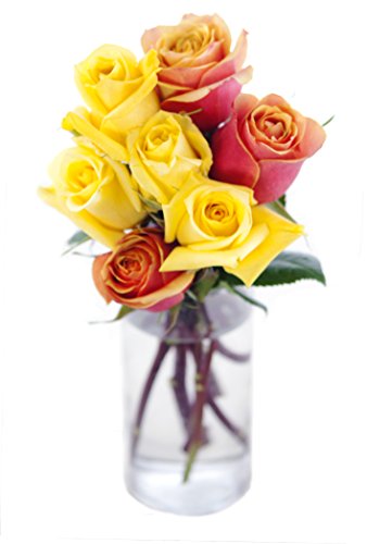 KaBloom PRIME NEXT DAY DELIVERY - Mother’s Day Collection -Bouquet of Long Stemmed Orange and Yellow Roses (Half Dozen) - With Vase .Gift for Birthday, Thank You, Valentine, Mother’s Day Fresh Flowers