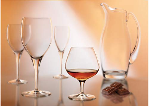 Luigi Bormioli Set Of 4 Michelangelo Masterpiece 19.15-Oz. All Purpose Goblets #TOP1