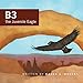 B3 the Juvenile Eagle
