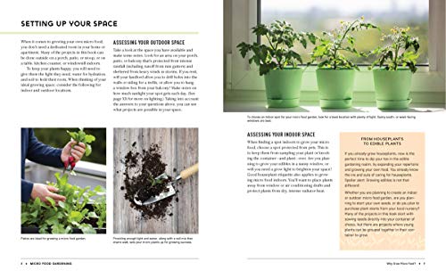 Micro Food Gardening: Project Plans and Plants for Growing Fruits and Veggies in Tiny Spaces - Image 3