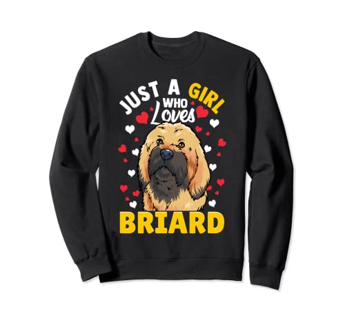 Briard